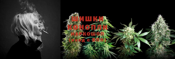 кокс Теберда