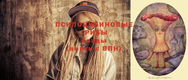 mdpv Няндома