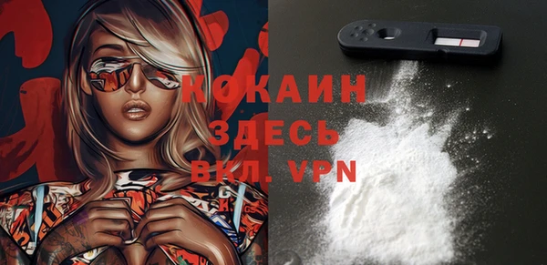 mdpv Няндома