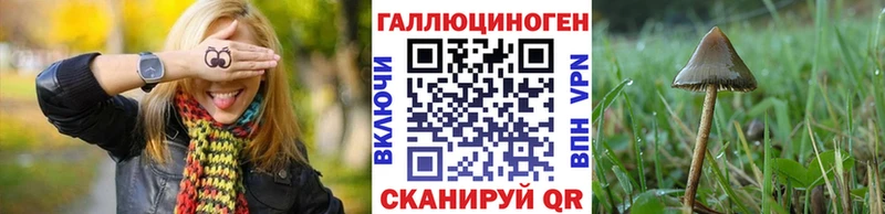 даркнет Telegram  Евпатория  Псилоцибиновые грибы мицелий  где продают наркотики 